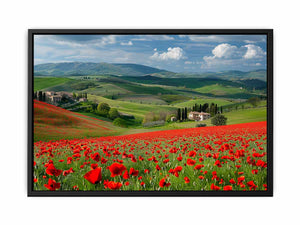 Field Of Poppies  Canvas Print