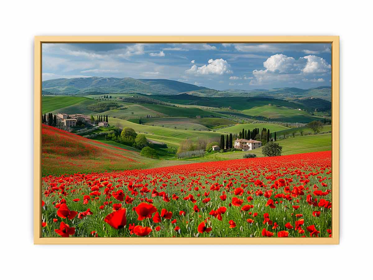 Field Of Poppies  Streched canvas
