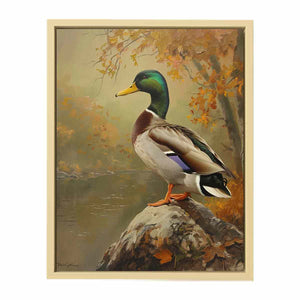 Pond's Gentle Glide  Art Print