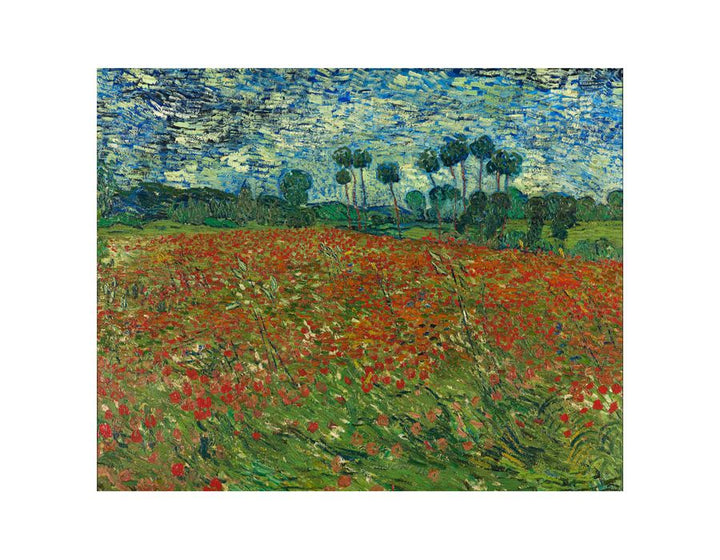 Poppy Field By Vincent Van Gogh