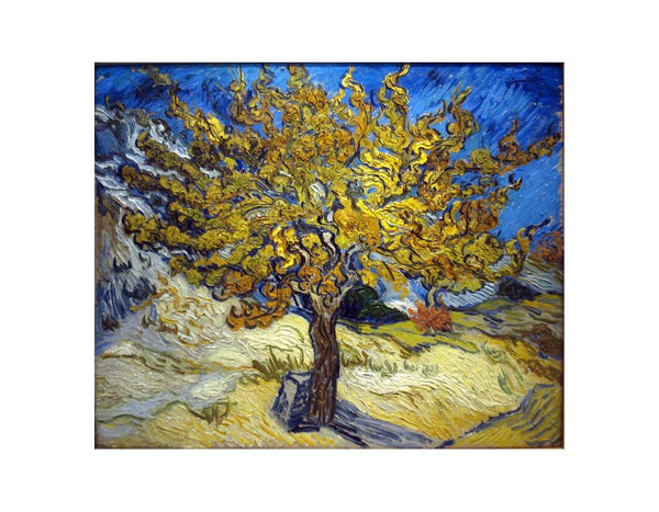Mulberry Tree by Van Gogh