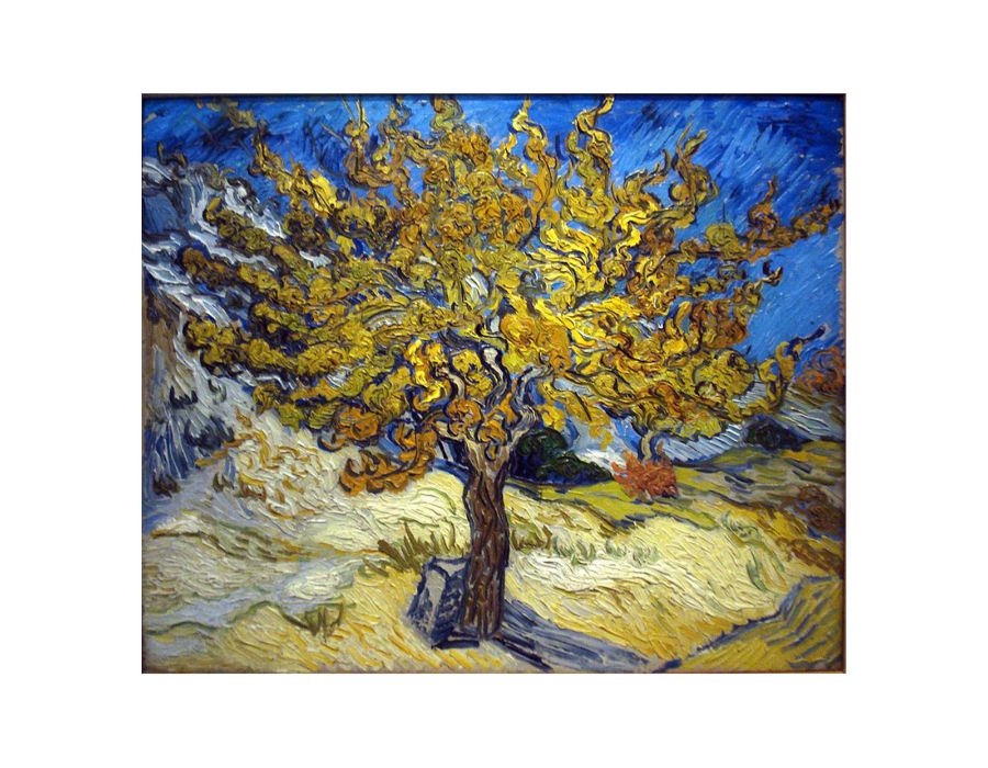 Mulberry Tree by Van Gogh Framed Print