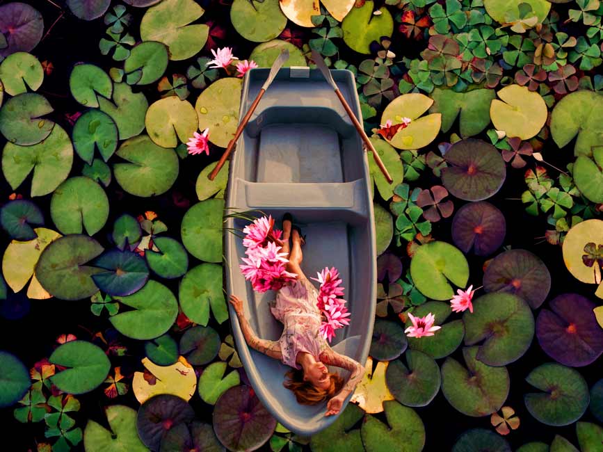 Lily Flower Boat Art Painting 