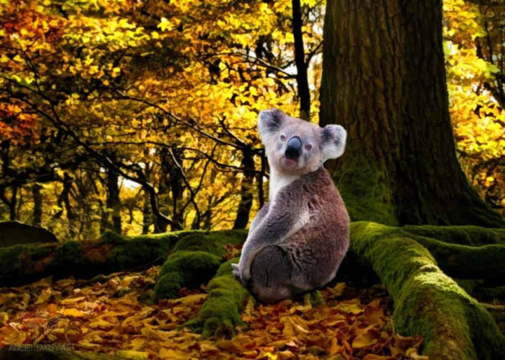 Koala Painting 